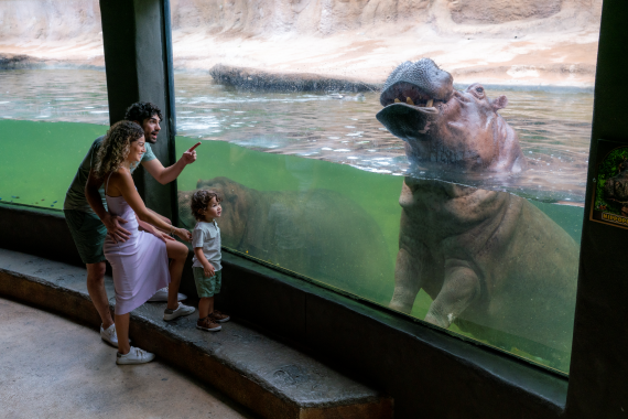 San Antonio Zoo